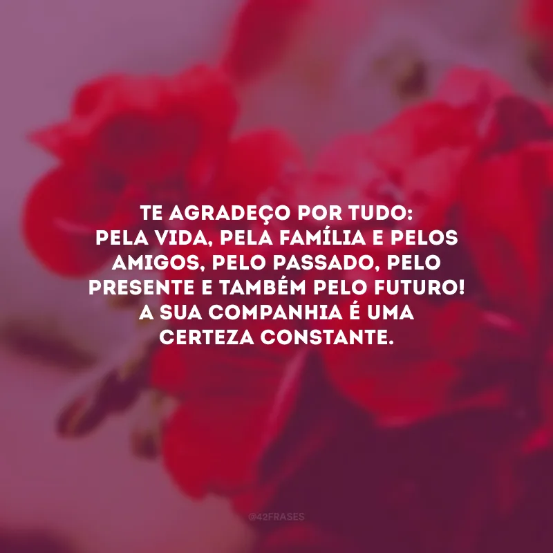 Te agradeço por tudo: pela vida, pela família e pelos amigos, pelo passado, pelo presente e também pelo futuro! A sua companhia é uma certeza constante.