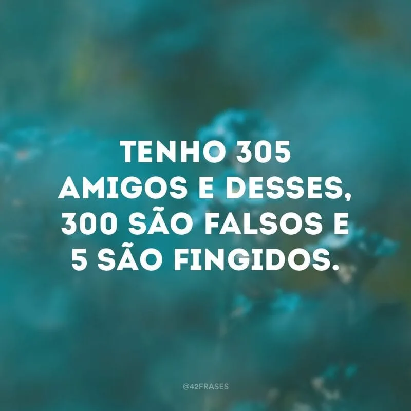 Tenho 305 amigos e desses, 300 são falsos e 5 são fingidos.