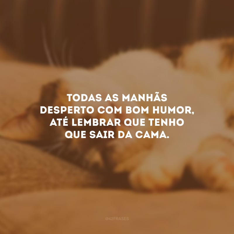 Todas as manhãs desperto com bom humor, até lembrar que tenho que sair da cama.

