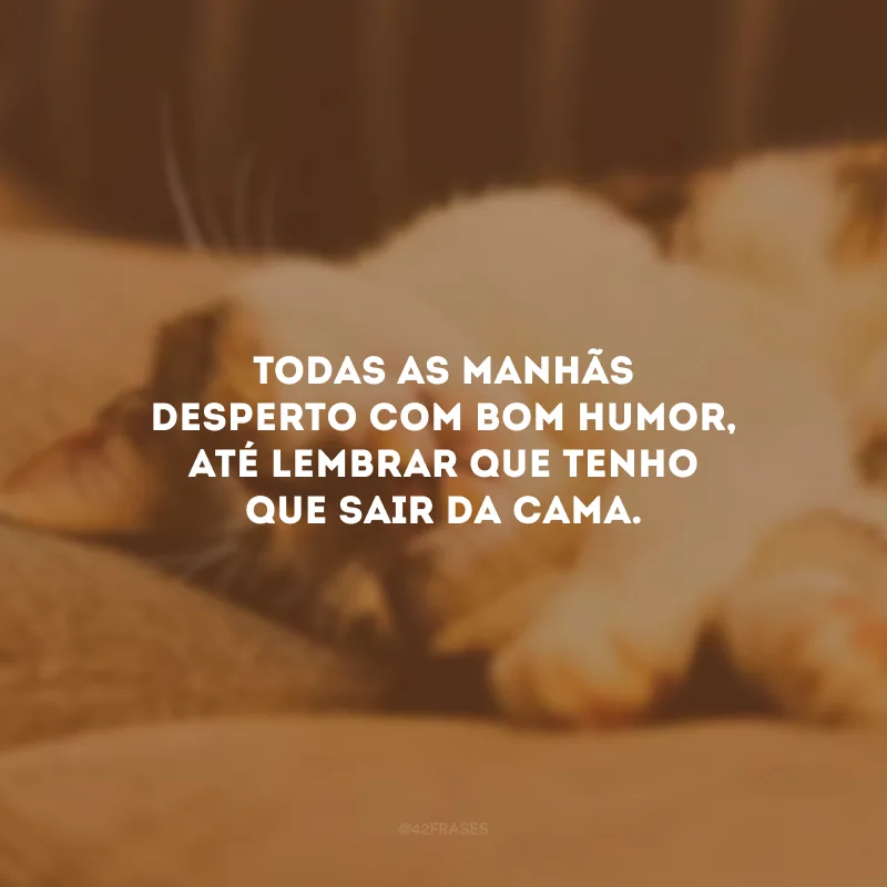Todas as manhãs desperto com bom humor, até lembrar que tenho que sair da cama.
