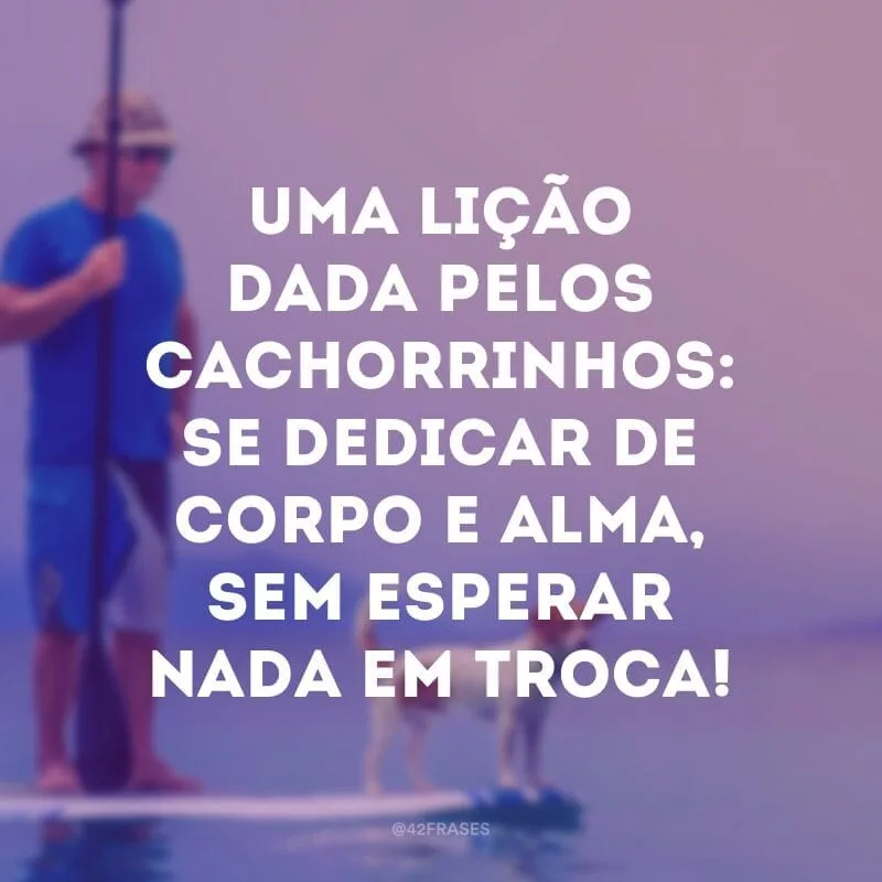 Uma lição dada pelos cachorrinhos: se dedicar de corpo e alma, sem esperar nada em troca!