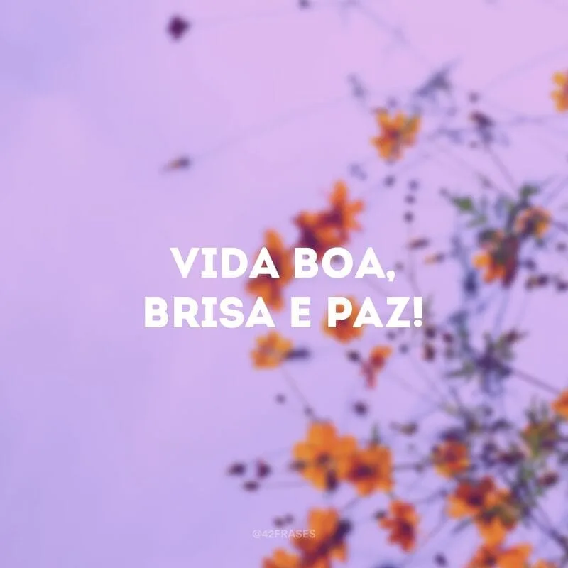 Vida boa, brisa e paz!