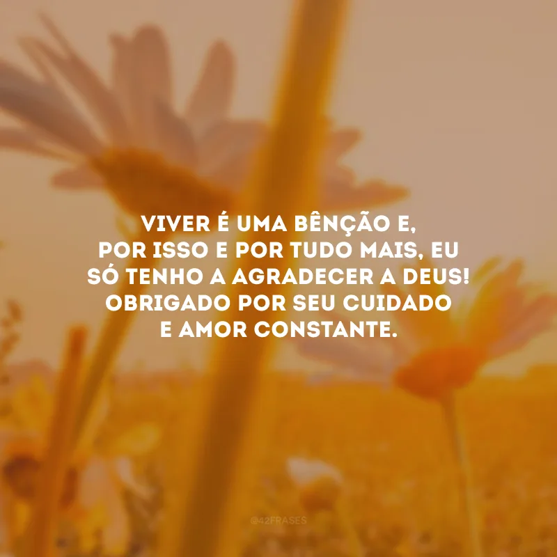 Viver é uma bênção e, por isso e por tudo mais, eu só tenho a agradecer a Deus! Obrigado por seu cuidado e amor constante.