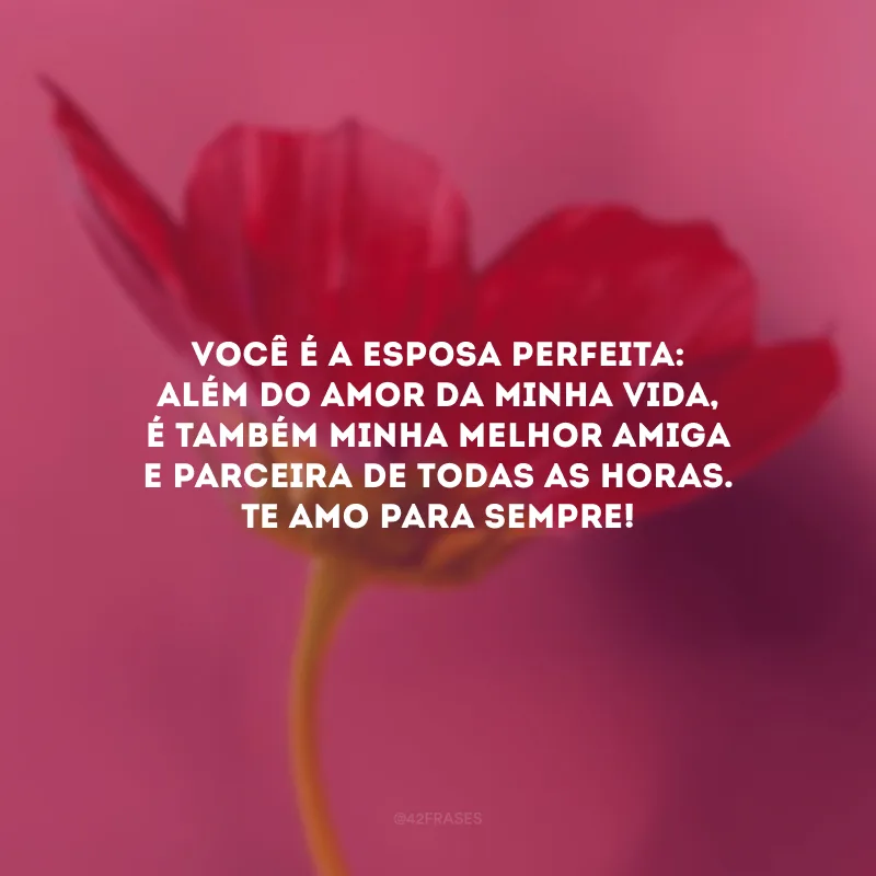 Você é a esposa perfeita: além do amor da minha vida, é também minha melhor amiga e parceira de todas as horas. Te amo para sempre!