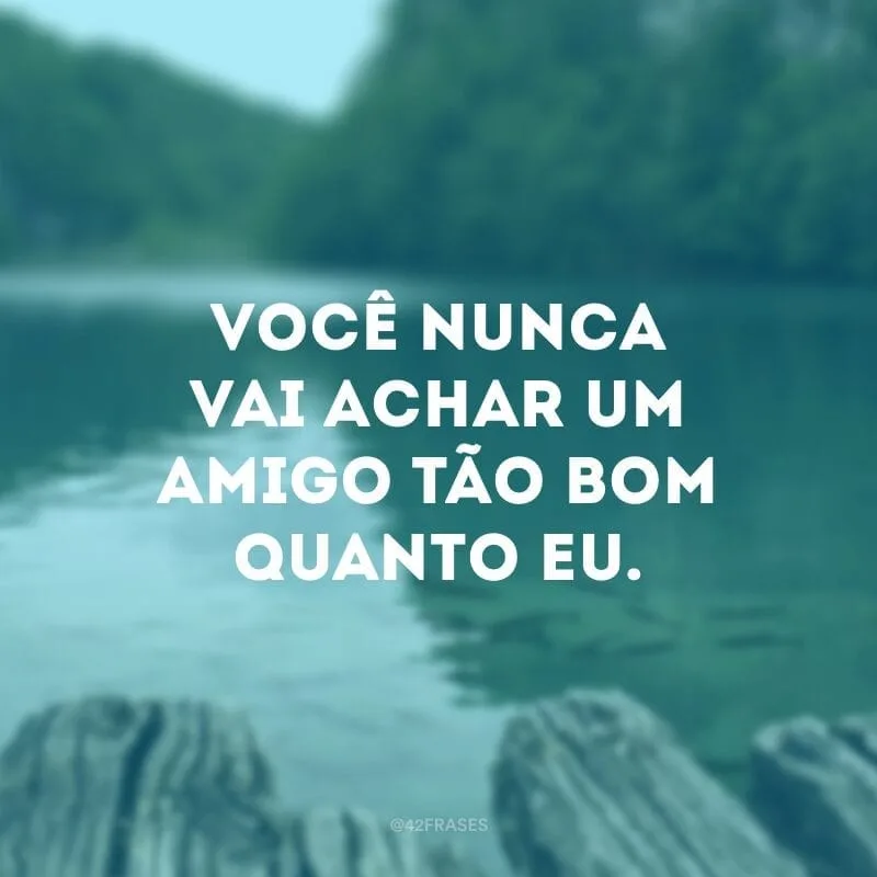 Você nunca vai achar um amigo tão bom quanto eu.