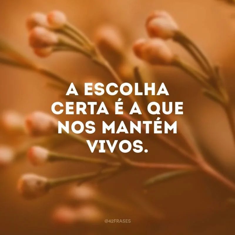A escolha certa é a que nos mantém vivos.