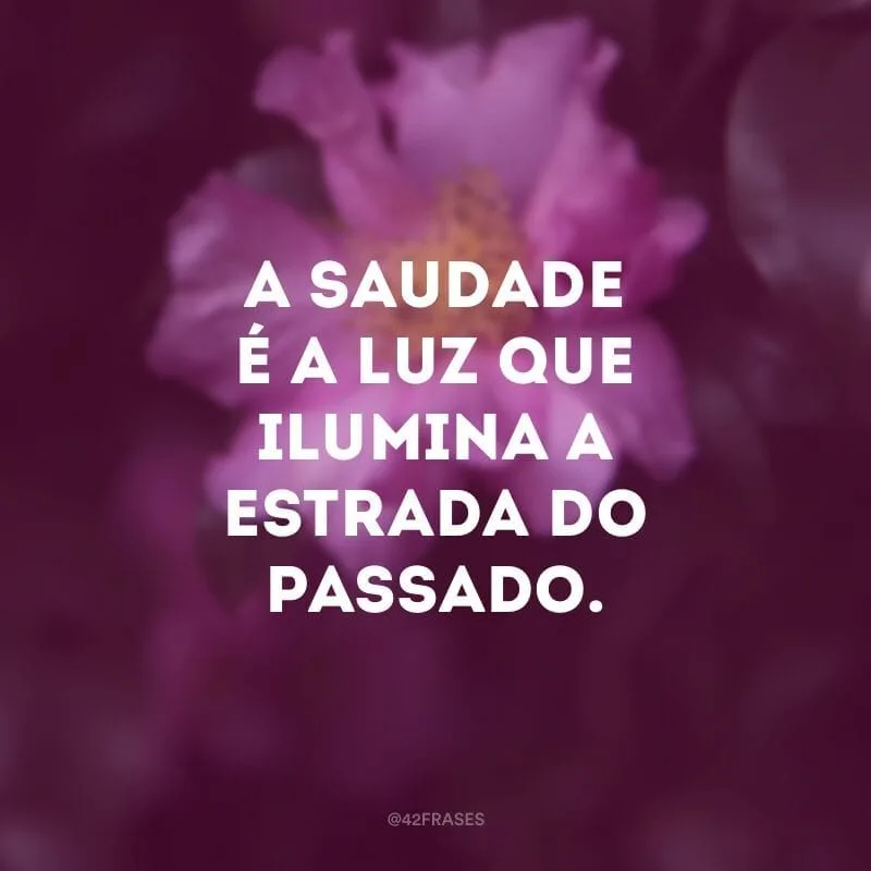 A saudade é a luz que ilumina a estrada do passado.