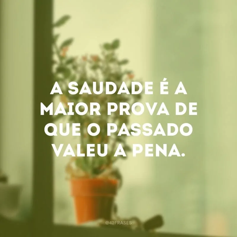 A saudade é a maior prova de que o passado valeu a pena.