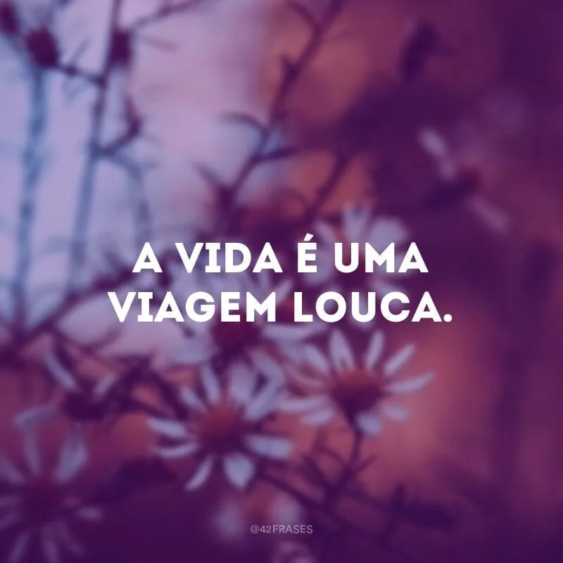 A vida é uma viagem louca.