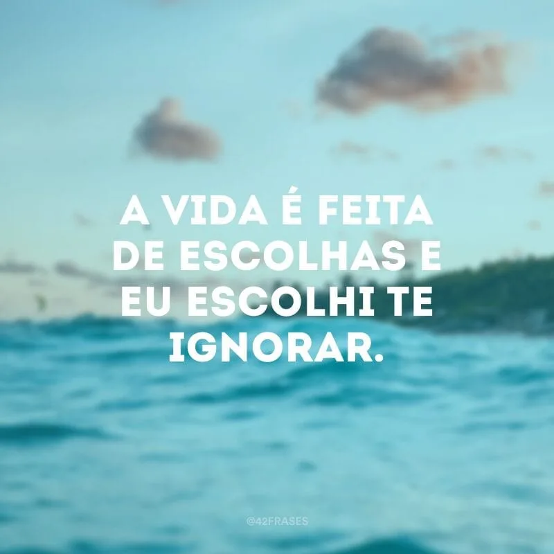 A vida é feita de escolhas e eu escolhi te ignorar.
