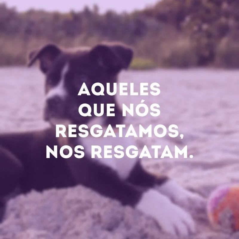 Aqueles que nós resgatamos, nos resgatam.