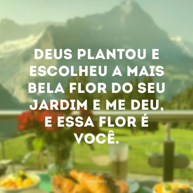 Deus plantou e escolheu a mais bela flor do seu jardim e me deu, e essa flor é você.