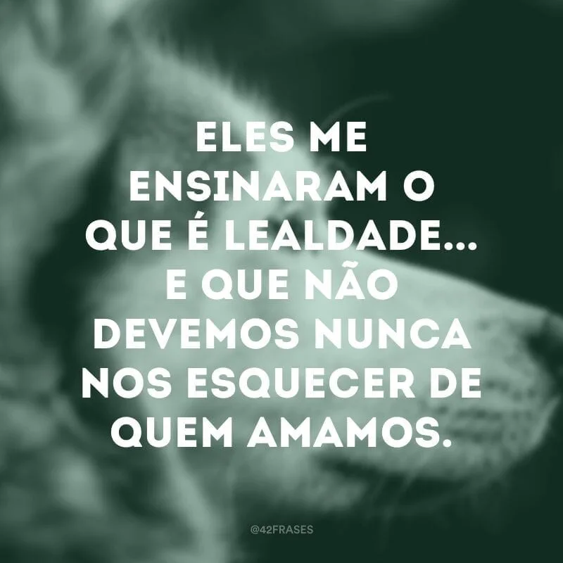 Eles me ensinaram o que é lealdade... E que não devemos nunca nos esquecer de quem amamos. 