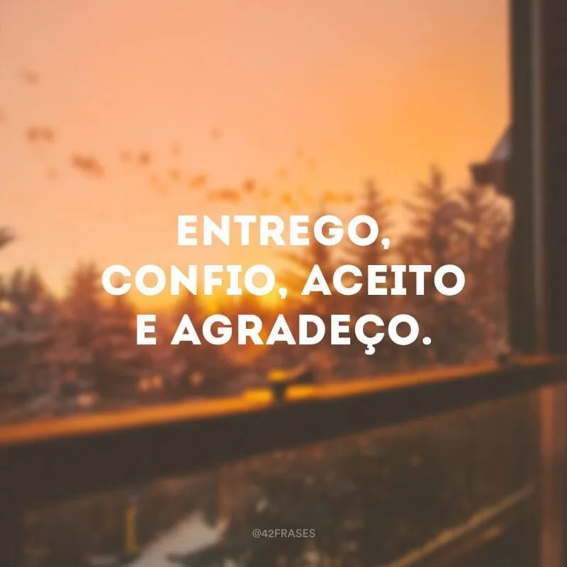 Entrego, confio, aceito e agradeço.
