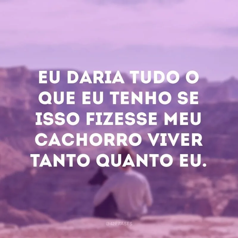 Eu daria tudo o que eu tenho se isso fizesse meu cachorro viver tanto quanto eu.