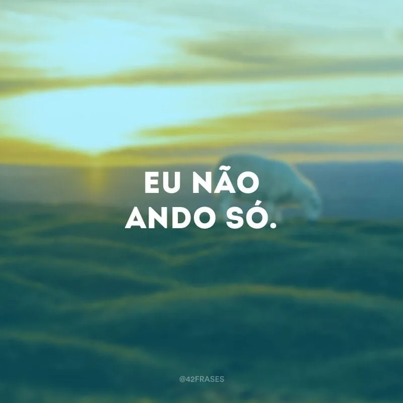 Eu não ando só.