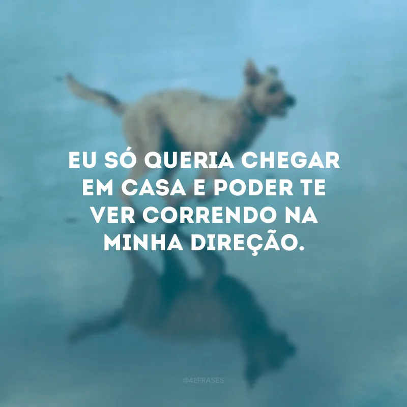 Eu só queria chegar em casa e poder te ver correndo na minha direção.