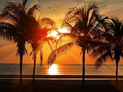 41 frases sobre o sol para você que adora os dias de verão
