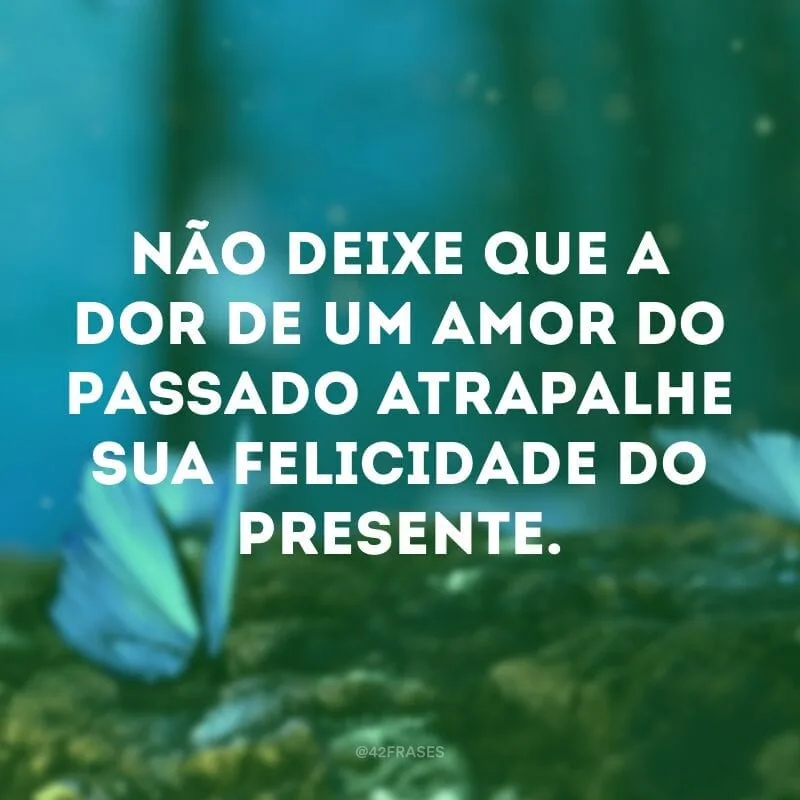 Não deixe que a dor de um amor do passado atrapalhe sua felicidade do presente.