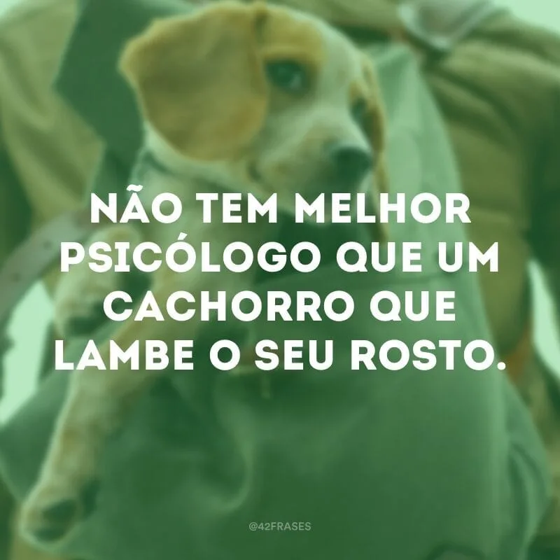 Não tem melhor psicólogo que um cachorro que lambe o seu rosto.