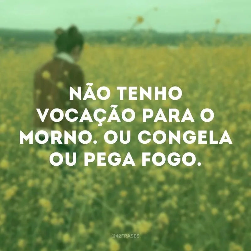 Não tenho vocação para o morno. Ou congela ou pega fogo.
