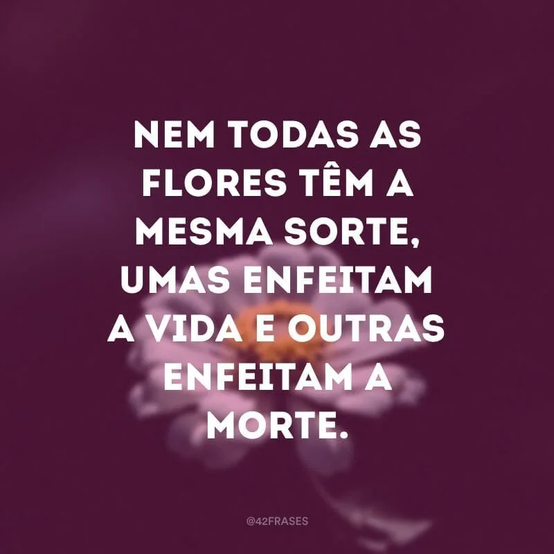 Nem todas as flores têm a mesma sorte, umas enfeitam a vida e outras enfeitam a morte.