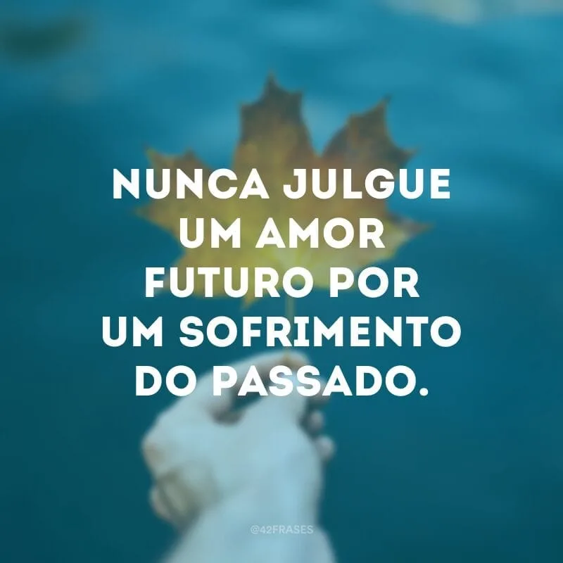 Nunca julgue um amor futuro por um sofrimento do passado.