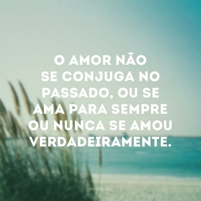 O amor não se conjuga no passado, ou se ama para sempre ou nunca se amou verdadeiramente.