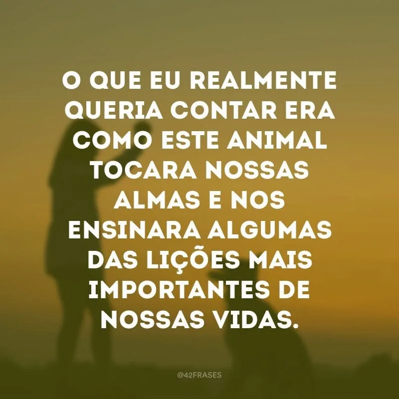 O que eu realmente queria contar era como este animal tocara nossas almas e nos ensinara algumas das lições mais importantes de nossas vidas.