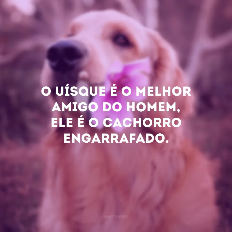 O uísque é o melhor amigo do homem, ele é o cachorro engarrafado.