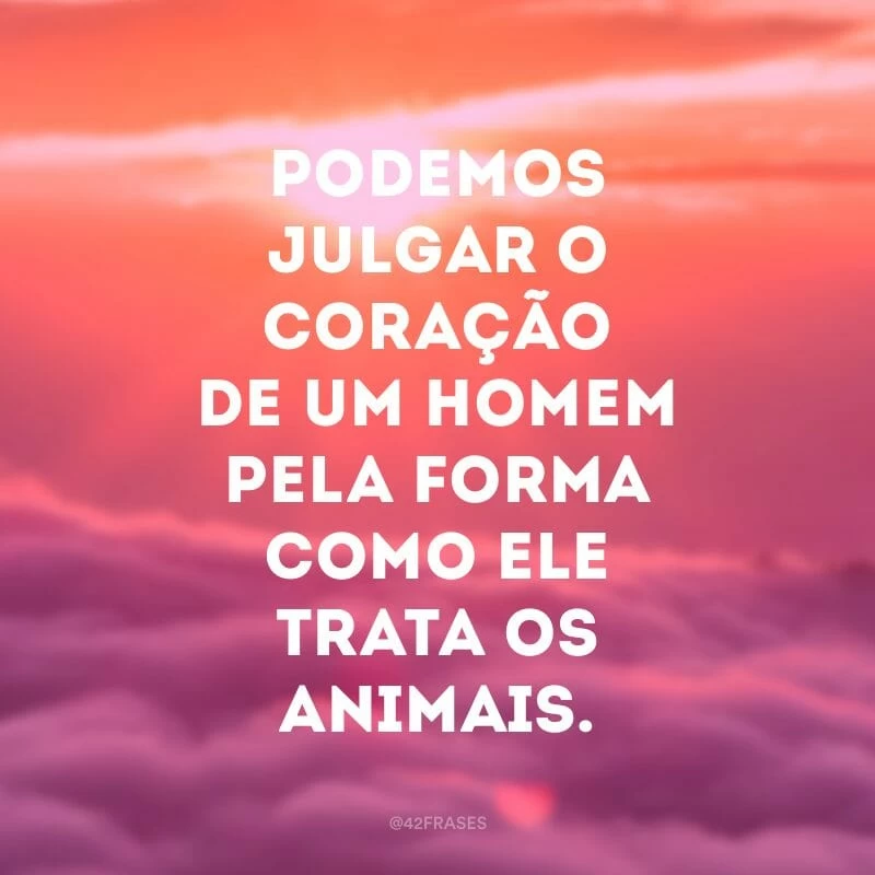 Podemos julgar o coração de um homem pela forma como ele trata os animais.