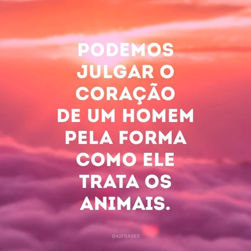 Podemos julgar o coração de um homem pela forma como ele trata os animais.