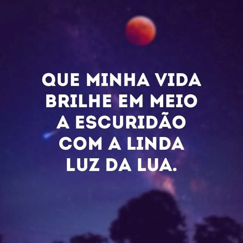 Que minha vida brilhe em meio a escuridão com a linda luz da lua. 