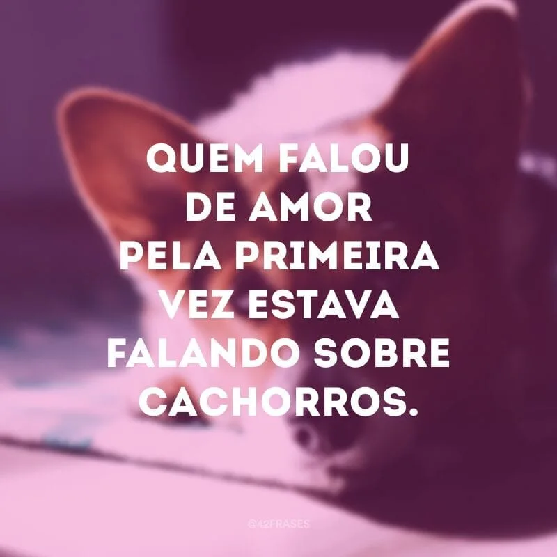 Quem falou de amor pela primeira vez estava falando sobre cachorros.