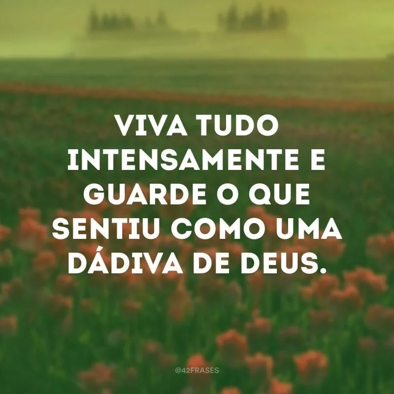 Viva tudo intensamente e guarde o que sentiu como uma dádiva de Deus. 