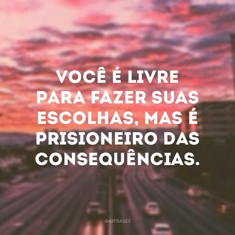 Você é livre para fazer suas escolhas, mas é prisioneiro das consequências.