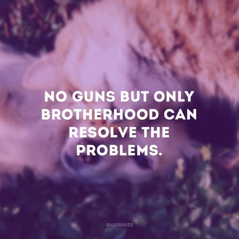 No guns but only brotherhood can resolve the problems. - Nenhuma arma, mas apenas a irmandade, pode resolver os problemas. 