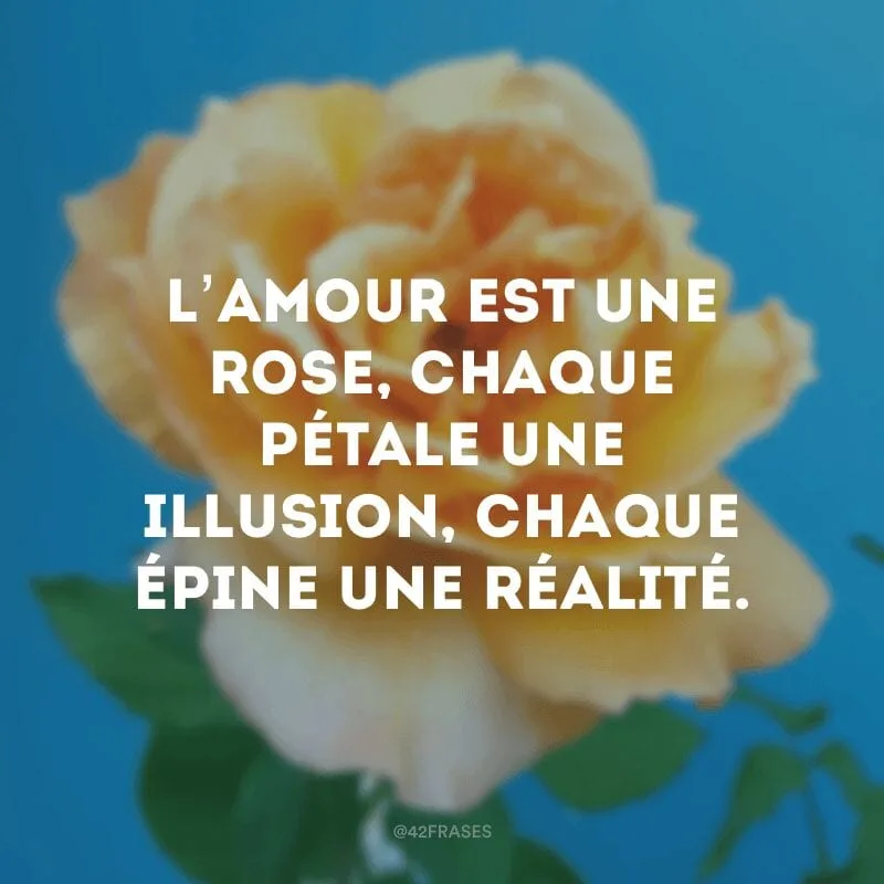 L’amour est une rose, chaque pétale une illusion, chaque épine une réalité.  (O amor é uma rosa, cada pétala é uma ilusão, cada espinho é uma realidade) 