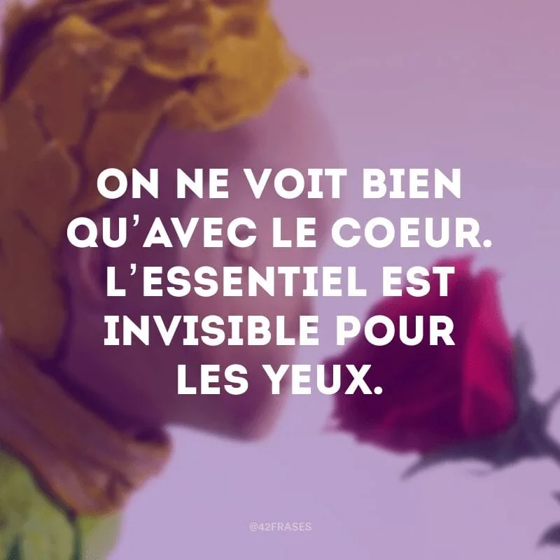 On ne voit bien qu’avec le coeur. L’essentiel est invisible pour les yeux.(Vê-se claramente somente com o coração. O essencial é invisível para os olhos)