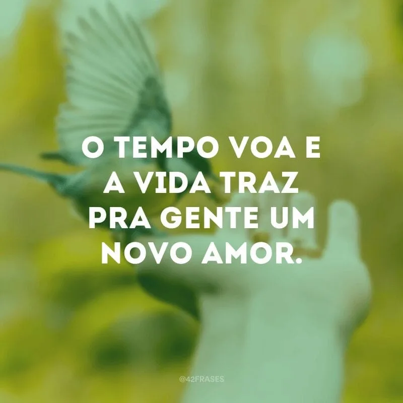O tempo voa e a vida traz pra gente um novo amor.