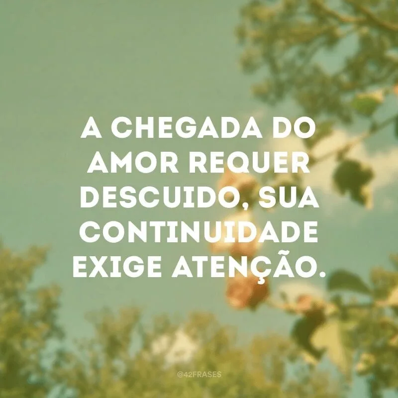 A chegada do amor requer descuido, sua continuidade exige atenção.
