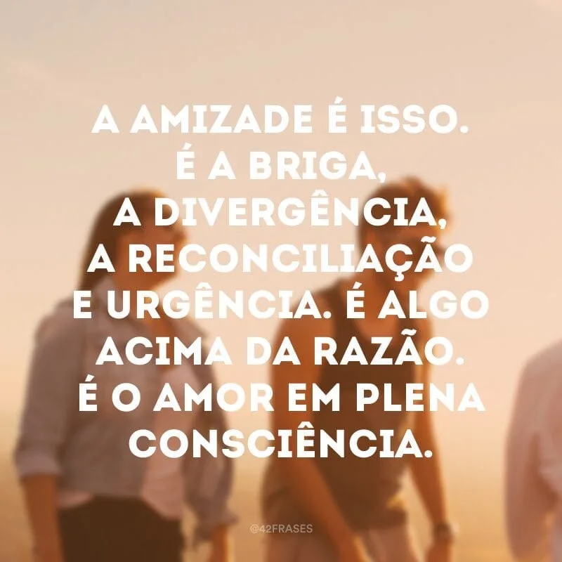 A amizade é isso. É a briga, a divergência, a reconciliação e urgência. É algo acima da razão. É o amor em plena consciência.