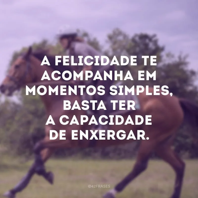 A felicidade te acompanha em momentos simples, basta ter a capacidade de enxergar.