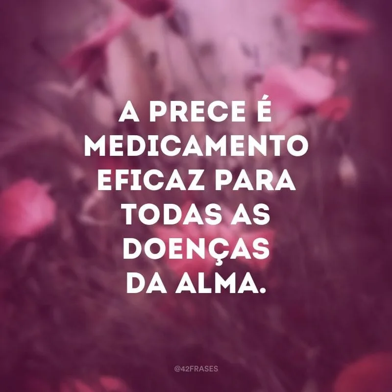 A prece é medicamento eficaz para todas as doenças da alma.