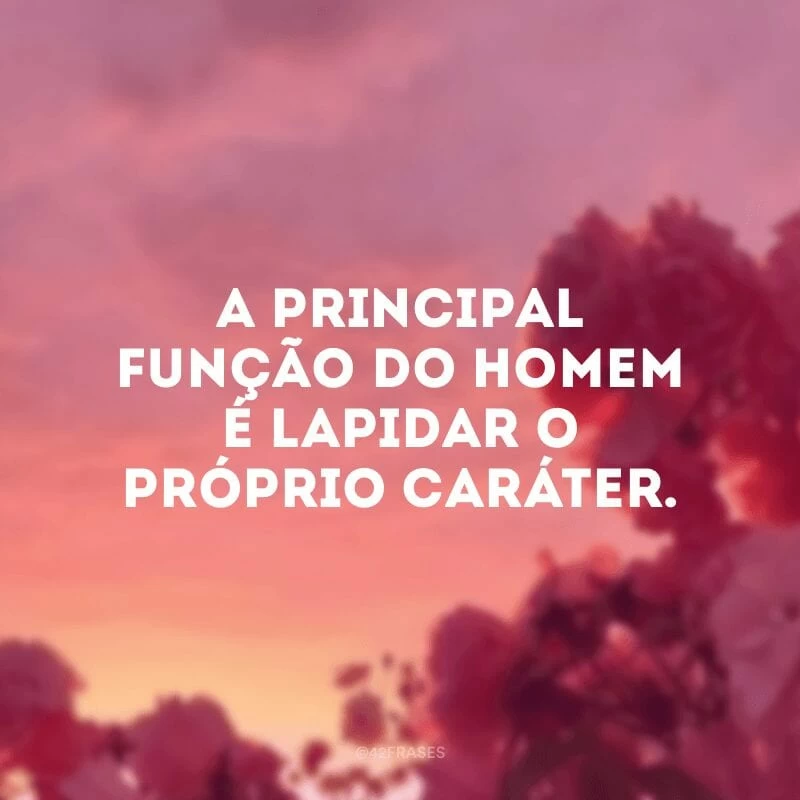 A principal função do homem é lapidar o próprio caráter.