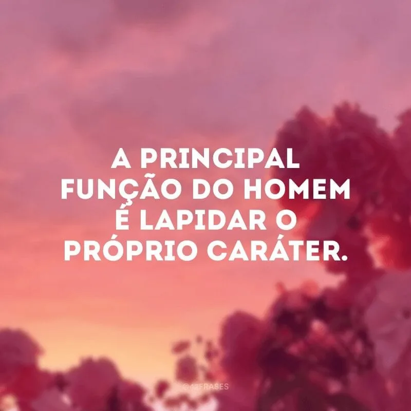 A principal função do homem é lapidar o próprio caráter.