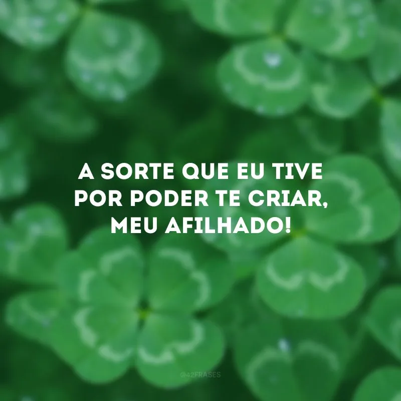 A sorte que eu tive por poder te criar, meu afilhado!