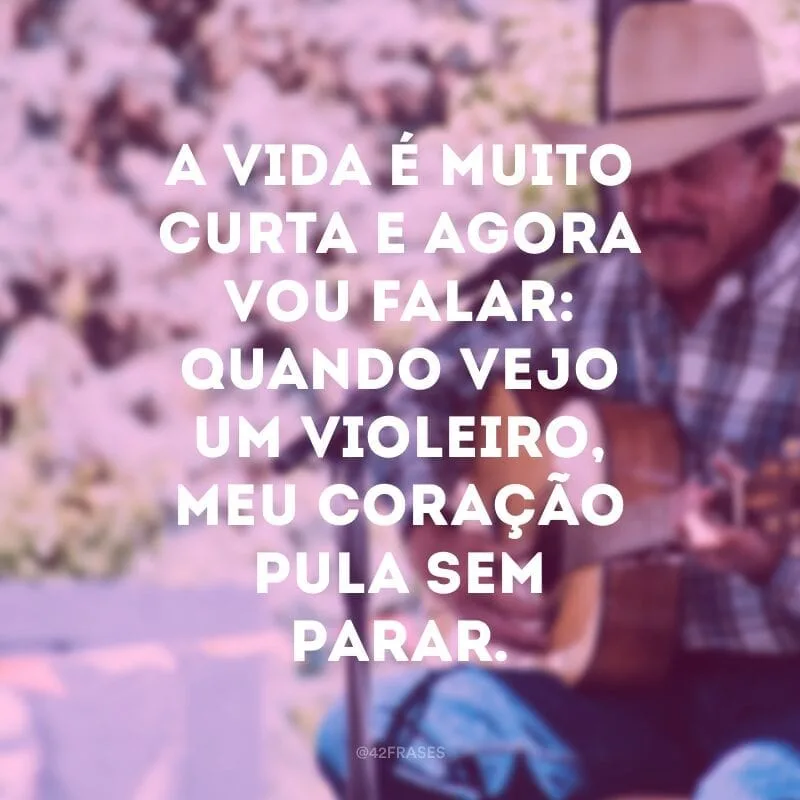 A vida é muito curta e agora vou falar: quando vejo um violeiro, meu coração pula sem parar.