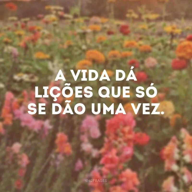 A vida dá lições que só se dão uma vez.