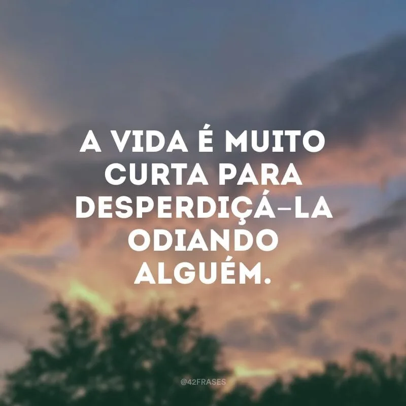 A vida é muito curta para desperdiçá-la odiando alguém.